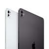 Планшет Apple iPad Pro 13 (2024) M4 512Gb Wi-Fi + Cellular Silver