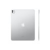 Планшет Apple iPad Pro 13 (2025) M5 512Gb Wi-Fi + Cellular Silver