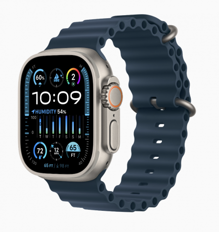 Смарт - часы Apple Watch Ultra 2 49mm, титановый корпус, ремешок Ocean цвета Blue