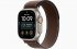 Смарт-часы Apple Watch Ultra 4 49mm, бежевый титан, ремешок Dark Umber Trail Loop Band